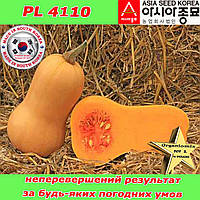 Гарбуз надрожайний, тип Батернат, PL 4110 F1 (500 насіння, проф.пакет), Південна Корея, ТМ Asia Seed