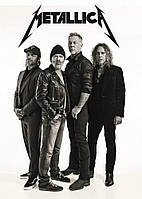 Плакат Metallica "Death Magnetic" настенный