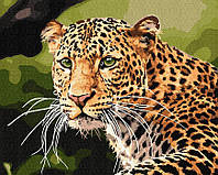 Картина по номерам Идейка Зеленоглазый леопард (KH4322) 40 х 50 см