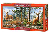 Настольная игра Castorland puzzle Пазл Королевская семья оленей, 4000 эл. (C-400317)