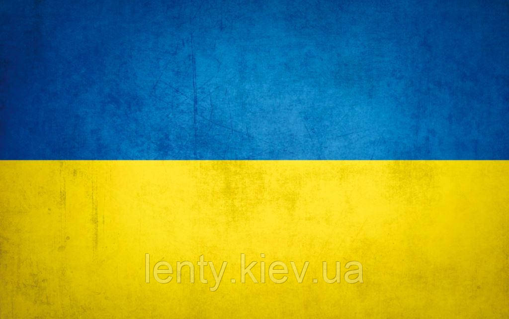 Фото-фон вініловий патріотичний 120×75 см "Прапор України - Стандарт гранж"