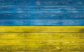 Фото-фон вініловий патріотичний 120×75 см "Прапор України: Жовто-сині горизонтальні дошки"
