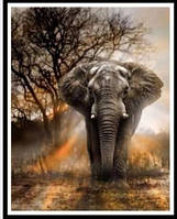 Картина алмазами даймонд Могучий слон 1шт (0145) MB