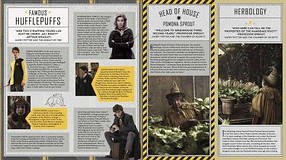 Harry Potter: Hufflepuff Magic : Jody Revenson :Твердый переплет / Книга - гармошка, фото 4