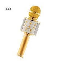 Микрофон WS-858 WSTER GOLD! BEST