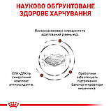 Корм сухий Royal Canin для собак при захворюваннях печінки Gastrointestinal HEPATIC 1.5 kg, фото 4