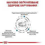 Корм сухий Royal Canin для собак при небажаній реакції на корм HYPOALLERGENIC 2 kg, фото 3