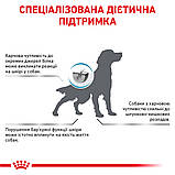 Корм сухий Royal Canin для собак при небажаній реакції на корм HYPOALLERGENIC 2 kg, фото 4