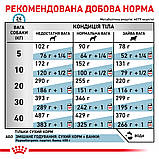 Корм сухий Royal Canin для собак при небажаній реакції на корм HYPOALLERGENIC 2 kg, фото 8