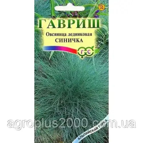 Семена Овсяница ледниковая Синичка 0,1 грамма Гавриш: продажа, цена в ...