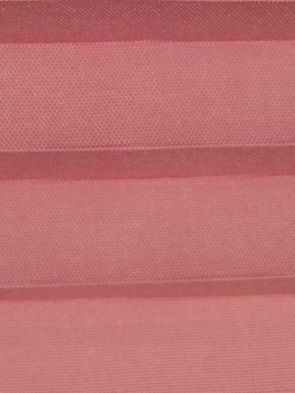 Чайная роза