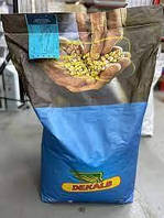 Насіння кукурудзи ДКС 3969 Фао310 (27,5 кг) 2023р