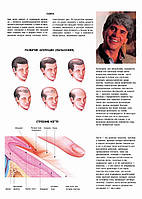 Седина. Облысение. Строение ногтя - плакат