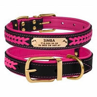 Ошейник для Собак Кожаный BronzeDog Premium с Литой Латунной Фурнитурой Черно-Розовый, М ш 20мм, (30-40)