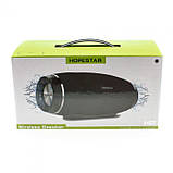 Портативна Bluetooth колонка Hopestar H27 (Чорний), фото 6