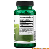 Swanson Maca 100 капсул по 500 мг Мака Перуанська для потенції тестостерон рослинного походження, фото 4
