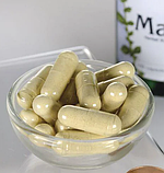 Swanson Maca 100 капсул по 500 мг Мака Перуанська для потенції тестостерон рослинного походження, фото 3