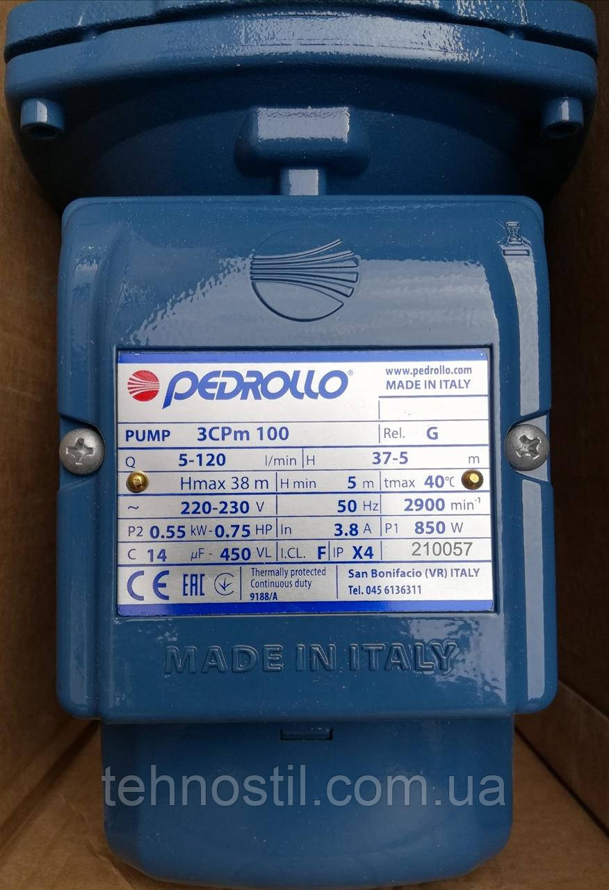 Pedrollo 3CPm 100 Многоступенчатый Насос (7.2 м³, 38 м, 0.55 кВт) - фото 2 - id-p1603212279
