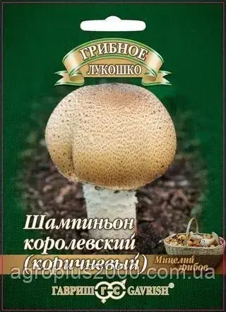 Міцеля грибів Шампіньйон Королівський (коричневий) 15 мл Гавріш