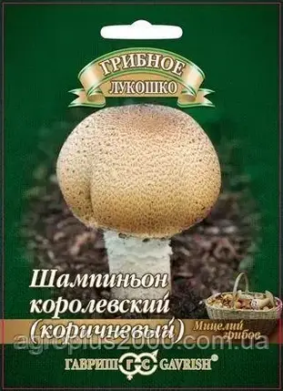 Міцеля грибів Шампіньйон Королівський (коричневий) 15 мл Гавріш, фото 1