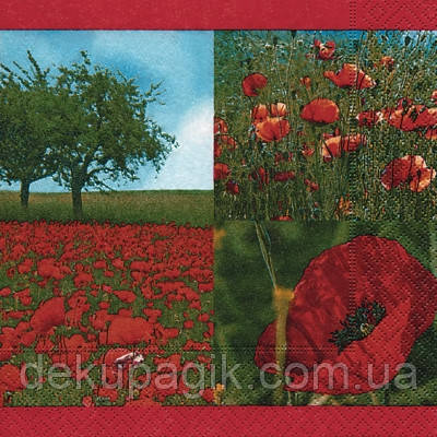 Серветка для декупажу ЦМ-85