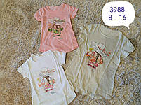 Футболка для дівчаток оптом, Dream Girl, 8-16 рр., арт. 3988, фото 9