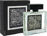 Туалетна вода для чоловіків Fragrance World Encrypt 100ml, фото 3