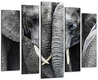 Модульная картина Животные Пара Слонов Art-344_5 ( 80х118см )