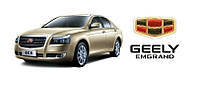 Опора вилки сцепления 3016007551 (Geely Emgrand 8 (EC8)) (AS-M)