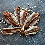Тригла (Морський дь'явол) солено-сушена 1кг, фото 2