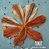 Тригла (Морський дь'явол) солено-сушена 1кг, фото 3