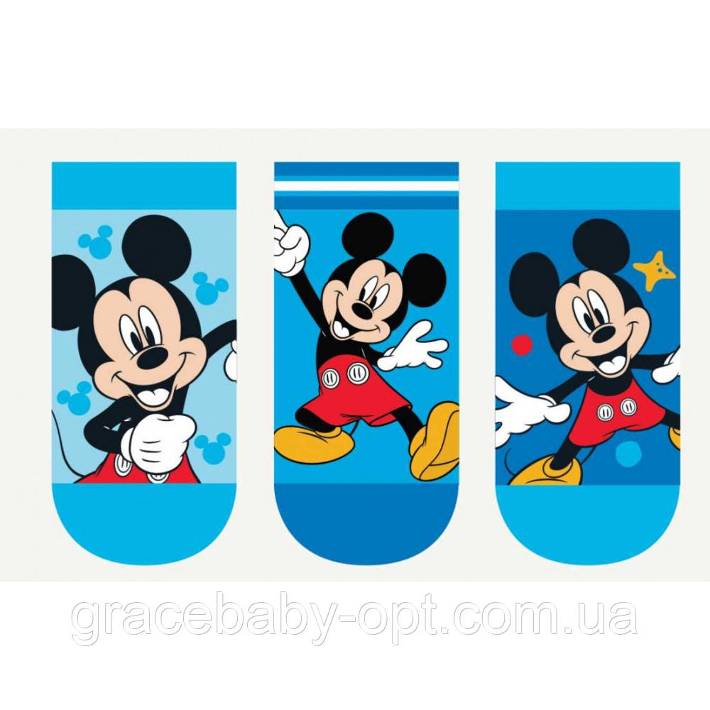 Шкарпетки для хлопчиків оптом, DISNEY, 23/26-31/34 рр., № MIC-A-SOCKS