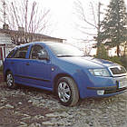 Молдинги на двері для Skoda Fabia I 1999-2007