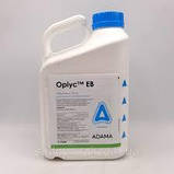 Фунгіцид ОРІУС 5 л, фото 2