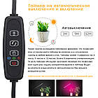 Ультрафіолетова лампа для рослин (2 голівки 20w) USB, таймер, кріплення + Пульт, фото 6