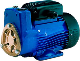 Вихровий насос Lowara P60/D