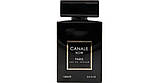 Парфумована вода для жінок Fragrance World Canale Noir 100ml, фото 3