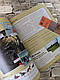 Набір книг Англійська мова для поч. класів "Fly High 4 Pupil's Book & Activity Book" Pearson, фото 7