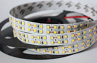 Лента LED IP20 SMD3014 204led/m 18W в асортименте