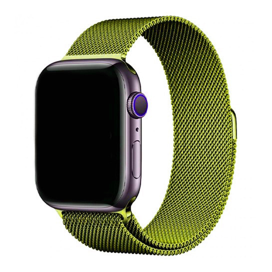 Ремінець Magnetic Metal Strap для Apple Watch 42 / 44mm Green Grass