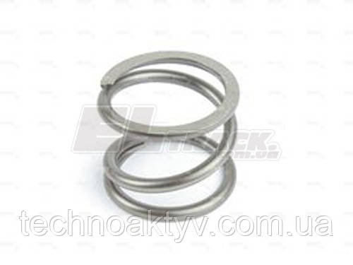 000.350066 Dana Spicer Пружина