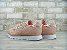 Кросівки жіночі рожеві Reebok Classic Pink (03197) 39, фото 2