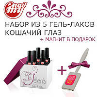 НАБОР ИЗ 5 ГЕЛЬ ЛАКОВ MY NAIL "КОШАЧИЙ ГЛАЗ" + МАГНИТ В ПОДАРОК