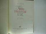Лузкова С.Л. Клініко-гематологічний атлас (б/у)., фото 4