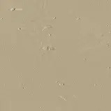 світлий дуб