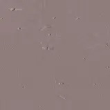 світлий горіх світлий горіх