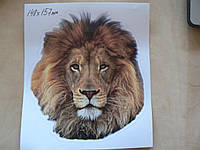 Наклейка пп звери Лев 148х157мм морда льва с ободком виниловая цветная на авто