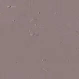 Поліефірна шпаклівка кольорова, 750 мл, фото 5