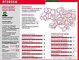 Насіння соняшника Limagrain 59580 Круїзер стійке до технології ExpressSun, фото 6