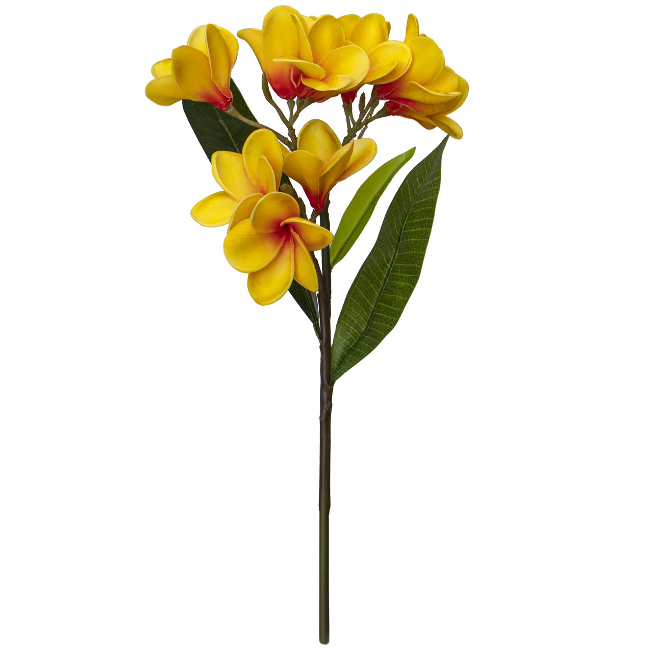 Акація, 43 см, помаранчевий (631383), фото 1